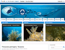 Tablet Screenshot of biologiamarina.org